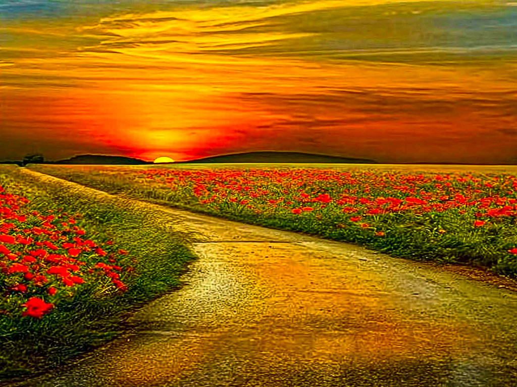 campos_de_flores_con_rio-normal